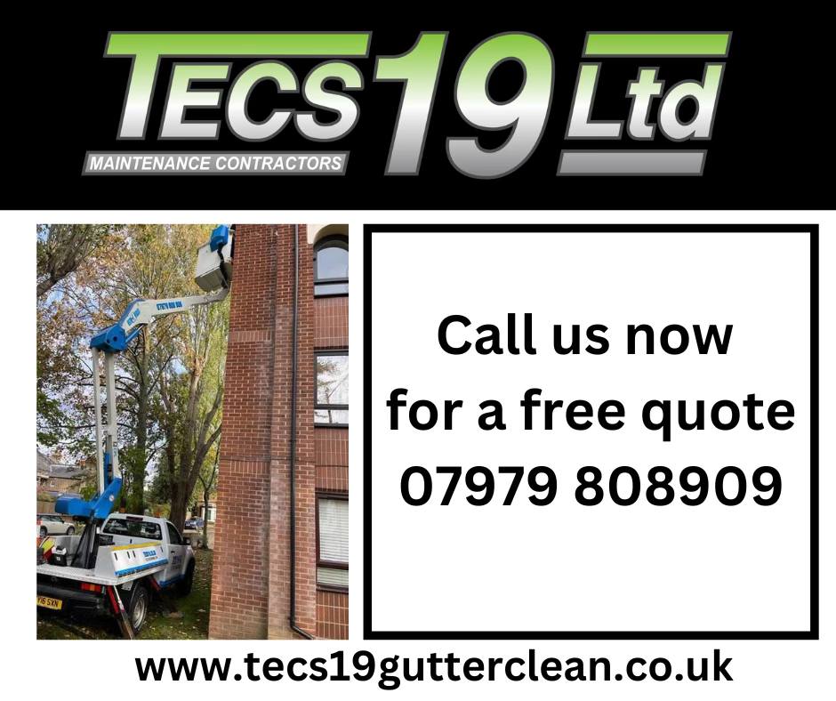 Tecs 19 Ltd Building Cleaning Maintenance & Pest Control